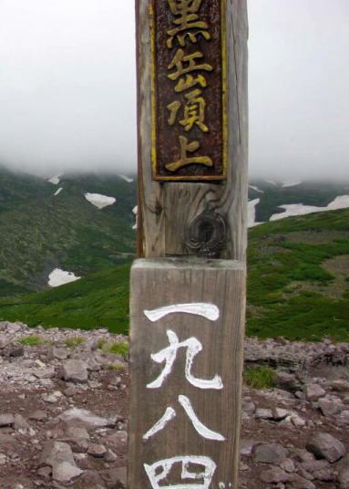 イワギキョウ（キキョウ科）北海道 大雪山（黒岳頂上）2009.7.21 